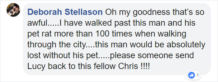 Homeless Man Asks People For Help After His Beloved Pet Rat Gets Stolen