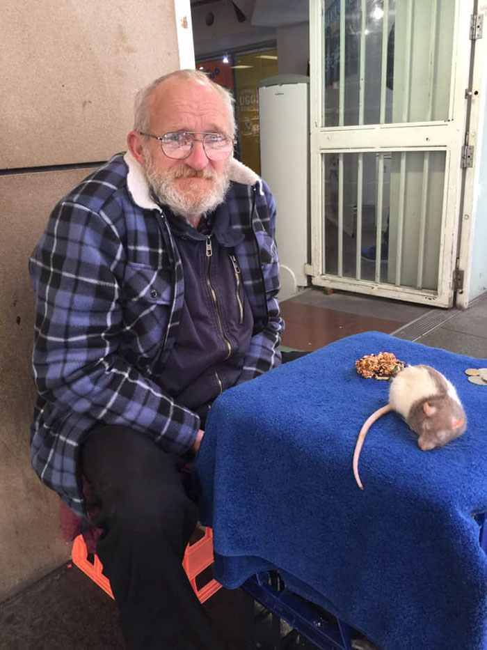 Homeless Man Asks People For Help After His Beloved Pet Rat Gets Stolen