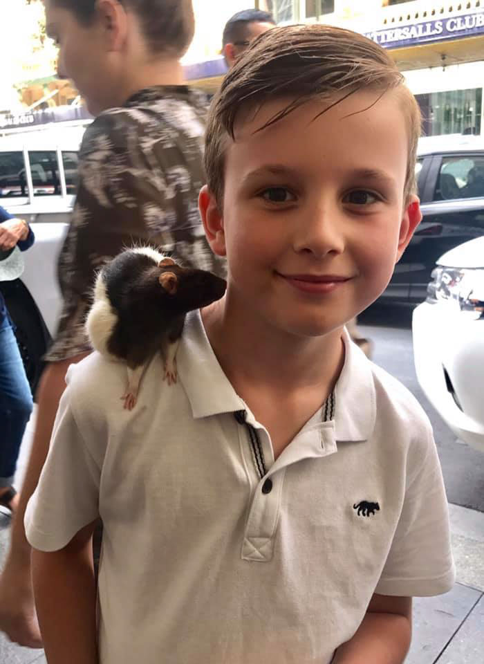 Homeless Man Asks People For Help After His Beloved Pet Rat Gets Stolen