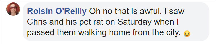 Homeless Man Asks People For Help After His Beloved Pet Rat Gets Stolen