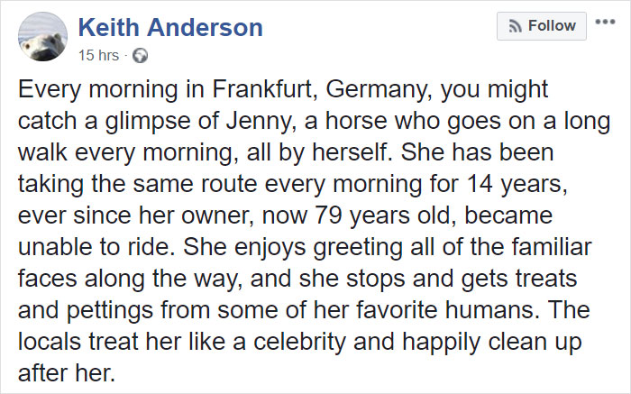 Horse Goes On A Walk Alone Every Day For 14 Years, Receives Pets And Treats From Residents Horse Goes On A Walk Alone Every Day For 14 Years, Receives Pets And Treats From Residents