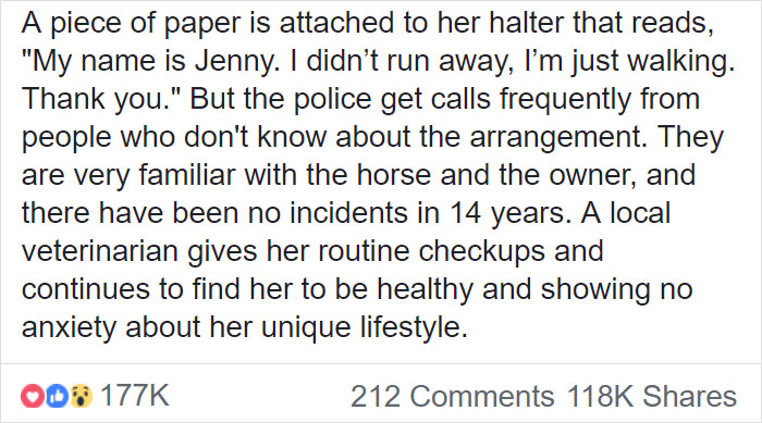 Horse Goes On A Walk Alone Every Day For 14 Years, Receives Pets And Treats From Residents Horse Goes On A Walk Alone Every Day For 14 Years, Receives Pets And Treats From Residents