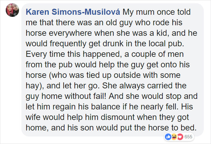 Horse Goes On A Walk Alone Every Day For 14 Years, Receives Pets And Treats From Residents Horse Goes On A Walk Alone Every Day For 14 Years, Receives Pets And Treats From Residents