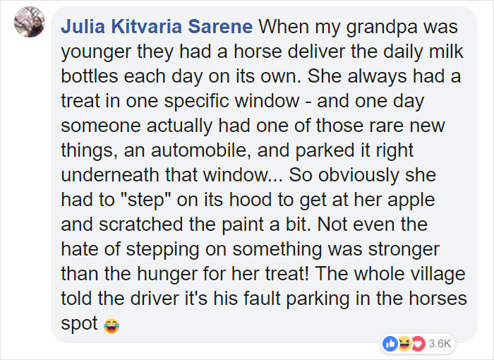 Horse Goes On A Walk Alone Every Day For 14 Years, Receives Pets And Treats From Residents Horse Goes On A Walk Alone Every Day For 14 Years, Receives Pets And Treats From Residents