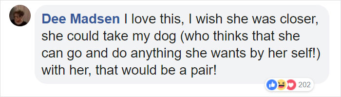 Horse Goes On A Walk Alone Every Day For 14 Years, Receives Pets And Treats From Residents Horse Goes On A Walk Alone Every Day For 14 Years, Receives Pets And Treats From Residents