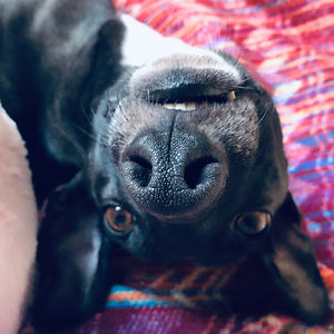 m-gorczynska1 avatar