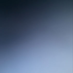 thearcherfrog avatar