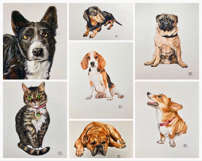 Watercolour Pets