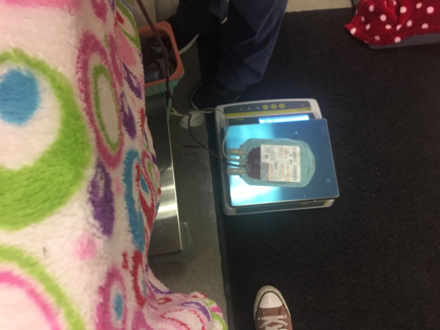 Today My Dog Donated Blood And I Took A Few Photos To Show How Easy It Is