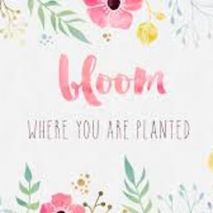 emileehubbard avatar