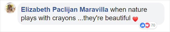 There Are Multi-Colored Giant Squirrels Living In India And People Seem To Have Just Found Out About This (17 Pics) There Are Multi-Colored Giant Squirrels Living In India And People Seem To Have Just Found Out About This (17 Pics)