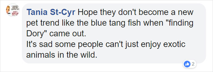 There Are Multi-Colored Giant Squirrels Living In India And People Seem To Have Just Found Out About This (17 Pics) There Are Multi-Colored Giant Squirrels Living In India And People Seem To Have Just Found Out About This (17 Pics)