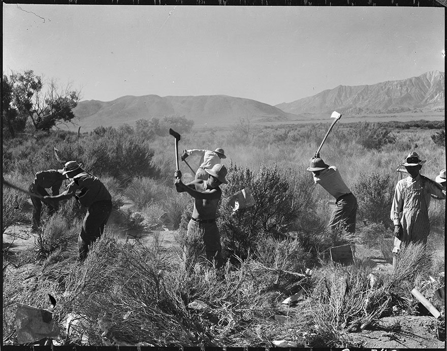 Japanese-Internment-Camp-Photos-Dorothea-Lange-