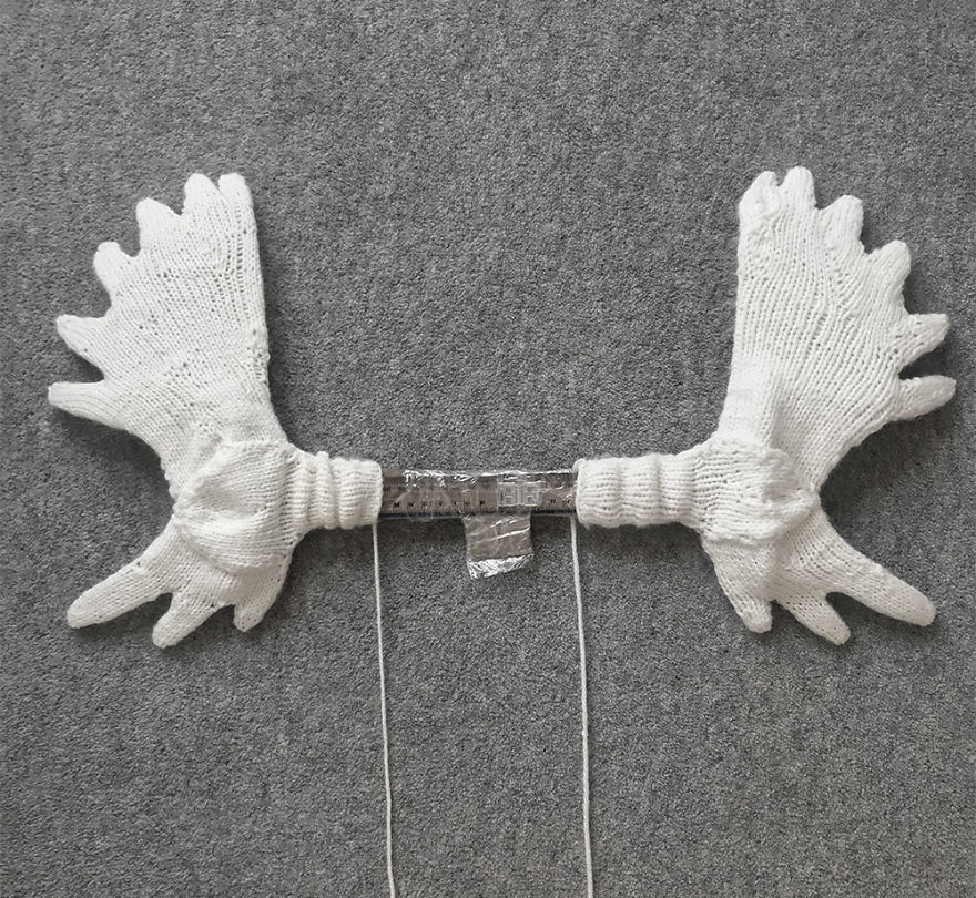 I Knit This Moose Head For A Wedding Present I Knit This Moose Head For A Wedding Present