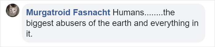 Artist Creates Incredible Optical Illusion At The Louvre So It Could Be Destroyed In A Couple Of Days