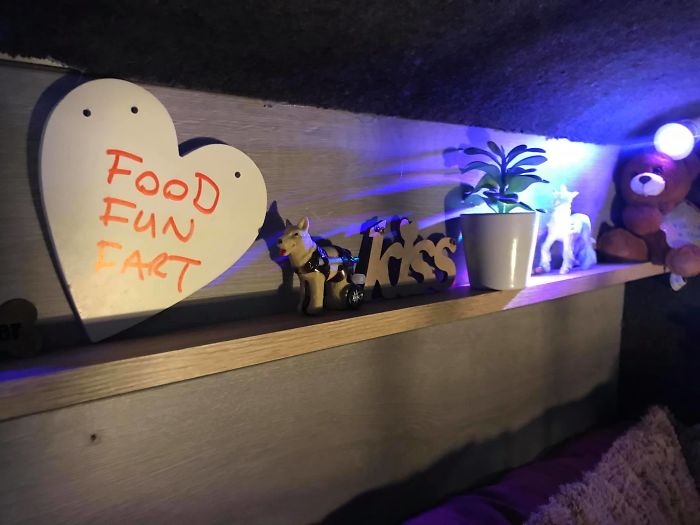 This Dog Has Trust Issues, So The Owner Built A 'Boudoir Bedroom' That Even Has A 'TV', To Comfort Him