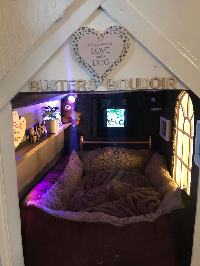 This Dog Has Trust Issues, So The Owner Built A 'Boudoir Bedroom' That Even Has A 'TV', To Comfort Him