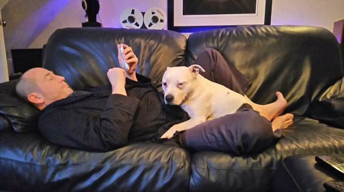 This Dog Has Trust Issues, So The Owner Built A 'Boudoir Bedroom' That Even Has A 'TV', To Comfort Him