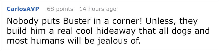 This Dog Has Trust Issues, So The Owner Built A 'Boudoir Bedroom' That Even Has A 'TV', To Comfort Him