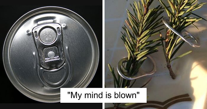 Seattle Man Has Been Feeding A Crow Family For Years, Has His “Mind Blown” After They Bring Him Presents