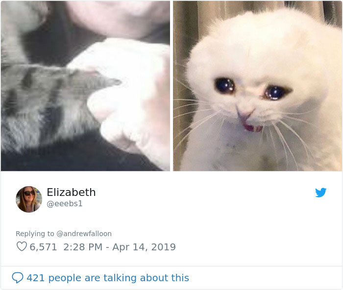 Man Recovering From Surgery Wakes Up To A Stranger Cat Cuddling Him Man Recovering From Surgery Wakes Up To A Stranger Cat Cuddling Him