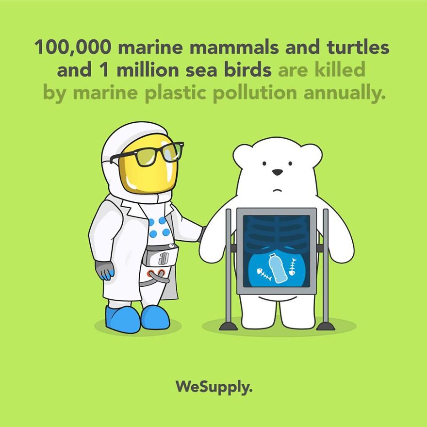 We Created 40 Informative Illustrations About Environmental Issues