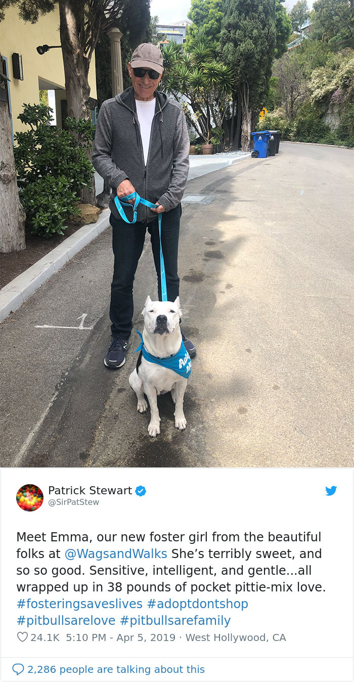 Patrick Stewart Has A New Foster Dog And Their Bond Is Adorable