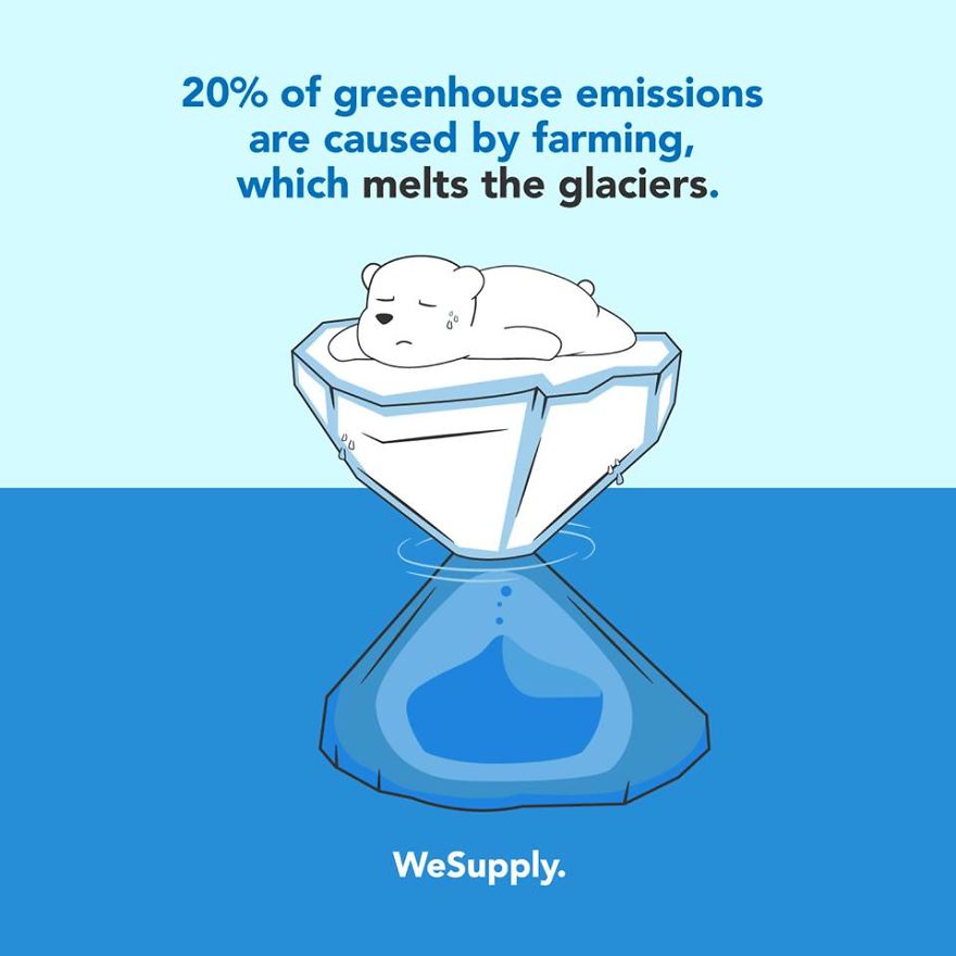 We Created 40 Informative Illustrations About Environmental Issues