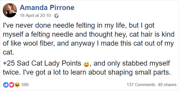 Woman Makes 'A Cat Out Of Her Cat' By Using Cat's Hair And The Result Inspires Others To Do The Same