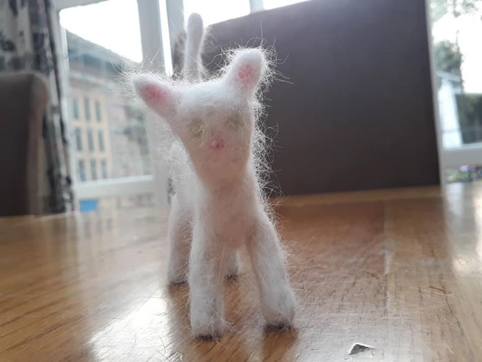 Woman Makes 'A Cat Out Of Her Cat' By Using Cat's Hair And The Result Inspires Others To Do The Same Woman Makes 'A Cat Out Of Her Cat' By Using Cat's Hair And The Result Inspires Others To Do The Same