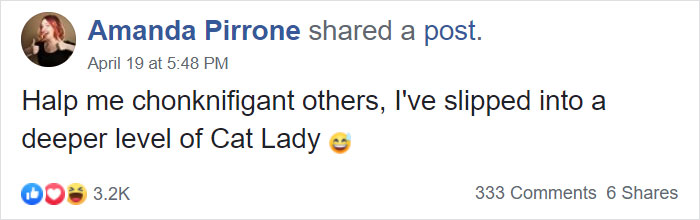 Woman Makes 'A Cat Out Of Her Cat' By Using Cat's Hair And The Result Inspires Others To Do The Same