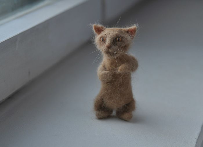 Woman Makes 'A Cat Out Of Her Cat' By Using Cat's Hair And The Result Inspires Others To Do The Same