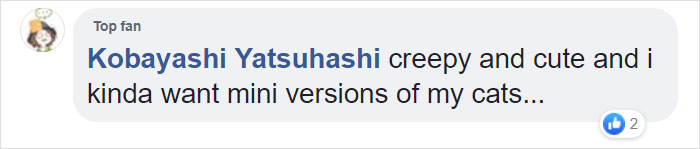 Woman Makes 'A Cat Out Of Her Cat' By Using Cat's Hair And The Result Inspires Others To Do The Same