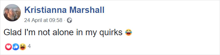 Woman Makes 'A Cat Out Of Her Cat' By Using Cat's Hair And The Result Inspires Others To Do The Same