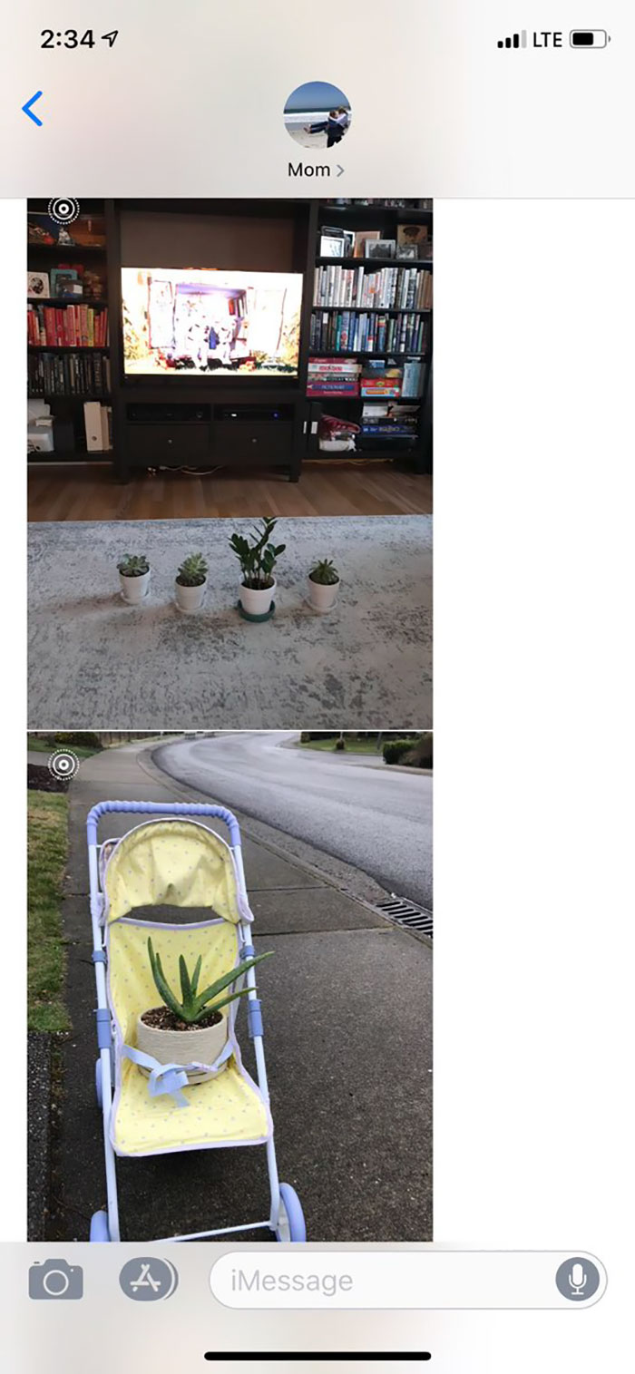 Daughter Asks Her Mom To Take Care Of Her Plants, Mom Uses It As An Opportunity To Hint About Wanting Grandkids Daughter Asks Her Mom To Take Care Of Her Plants, Mom Uses It As An Opportunity To Hint About Wanting Grandkids