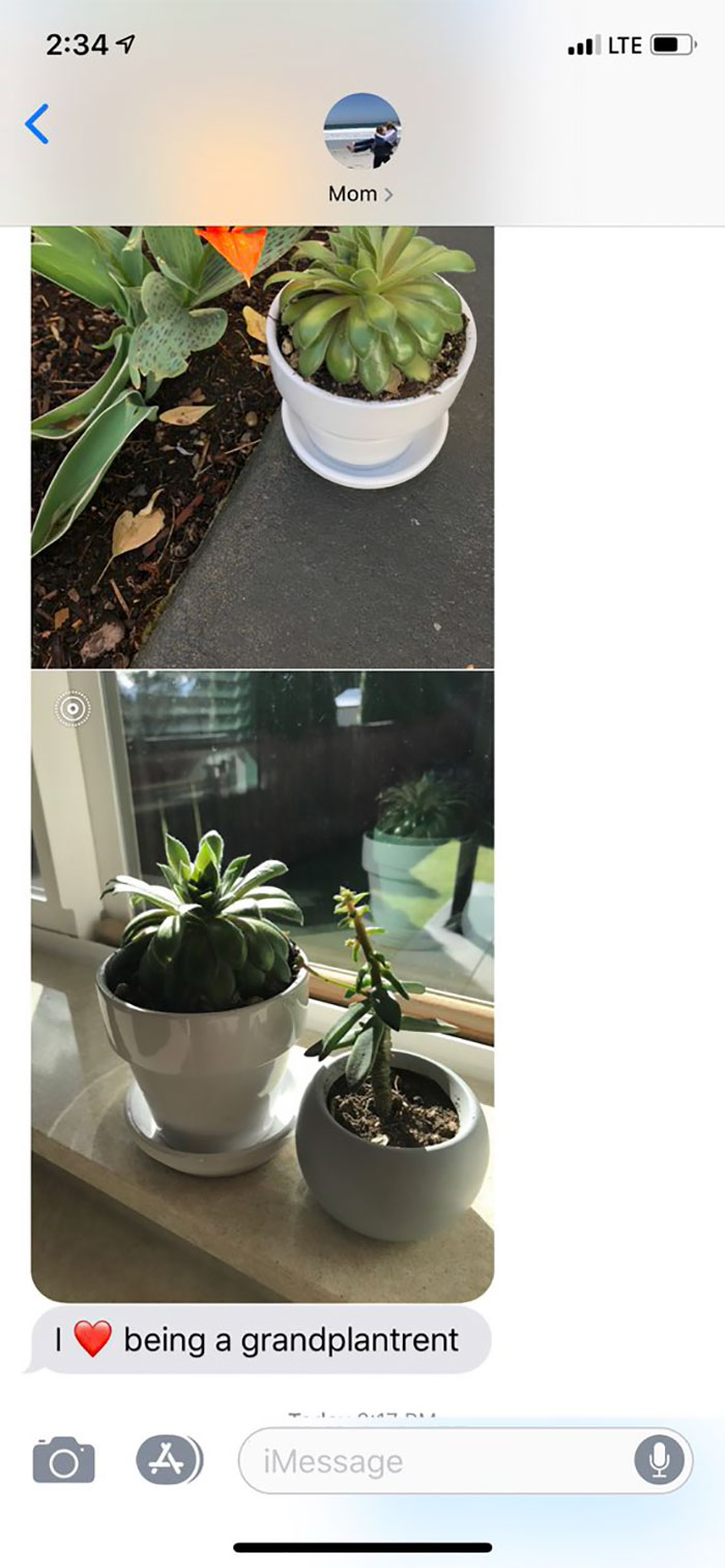Daughter Asks Her Mom To Take Care Of Her Plants, Mom Uses It As An Opportunity To Hint About Wanting Grandkids Daughter Asks Her Mom To Take Care Of Her Plants, Mom Uses It As An Opportunity To Hint About Wanting Grandkids