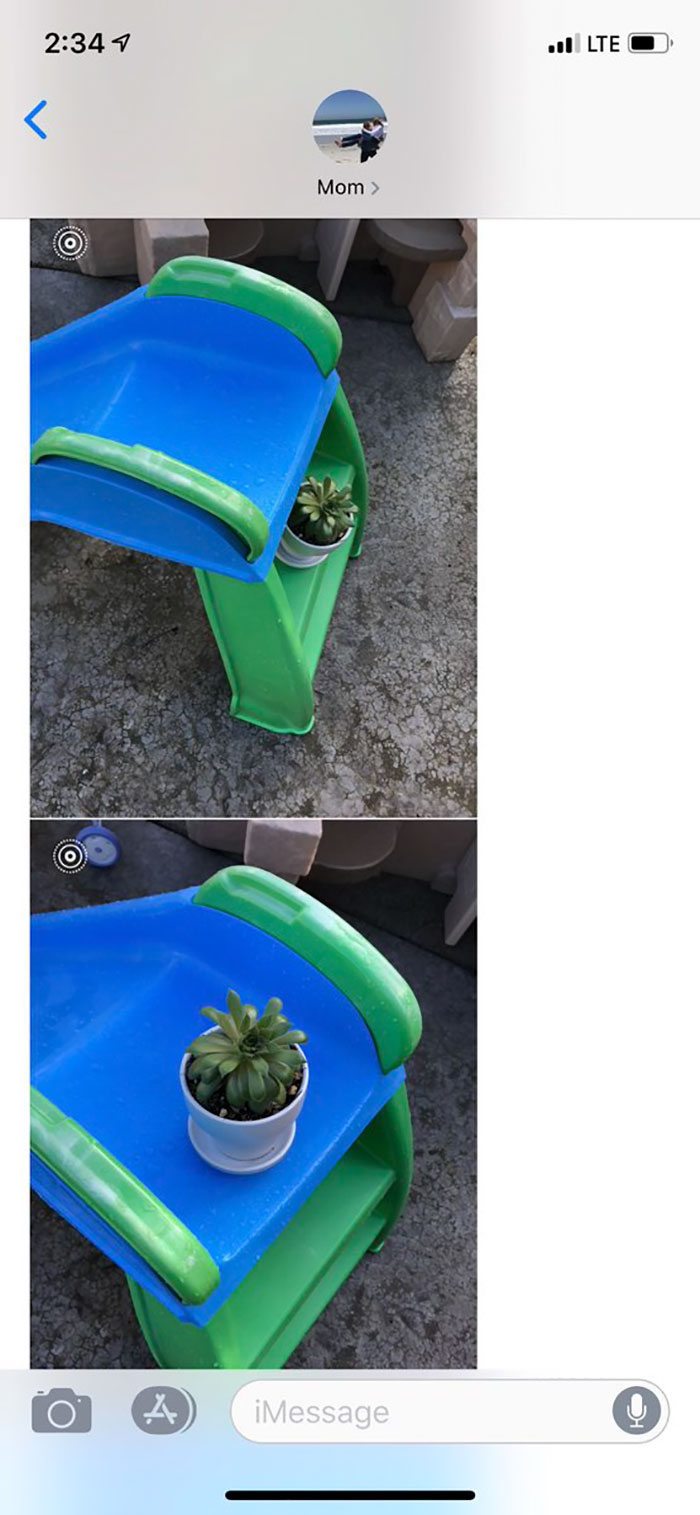 Daughter Asks Her Mom To Take Care Of Her Plants, Mom Uses It As An Opportunity To Hint About Wanting Grandkids Daughter Asks Her Mom To Take Care Of Her Plants, Mom Uses It As An Opportunity To Hint About Wanting Grandkids