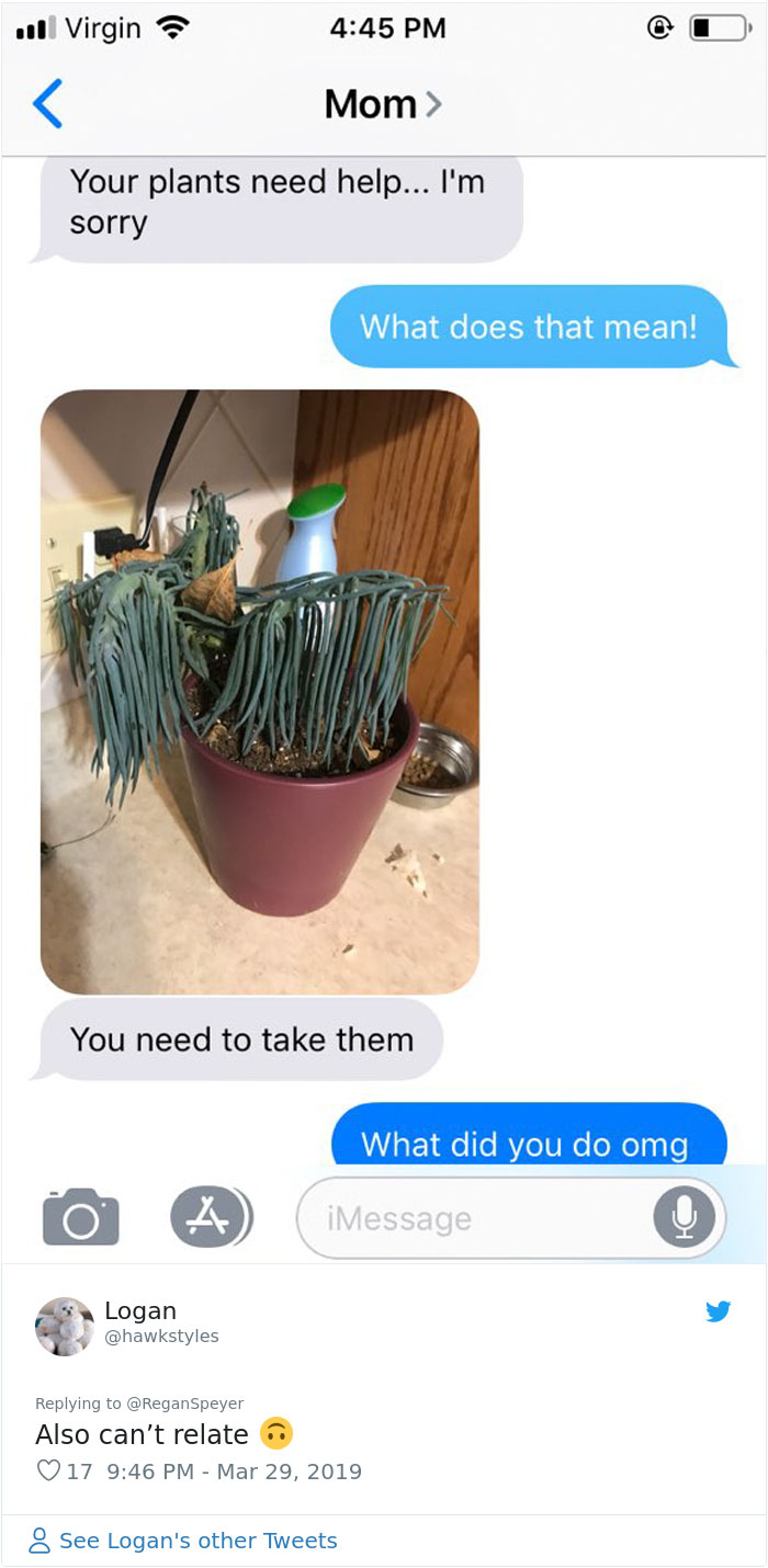 Daughter Asks Her Mom To Take Care Of Her Plants, Mom Uses It As An Opportunity To Hint About Wanting Grandkids Daughter Asks Her Mom To Take Care Of Her Plants, Mom Uses It As An Opportunity To Hint About Wanting Grandkids