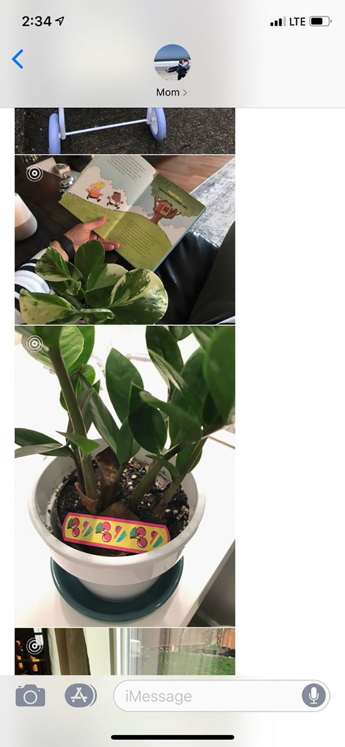 Daughter Asks Her Mom To Take Care Of Her Plants, Mom Uses It As An Opportunity To Hint About Wanting Grandkids Daughter Asks Her Mom To Take Care Of Her Plants, Mom Uses It As An Opportunity To Hint About Wanting Grandkids