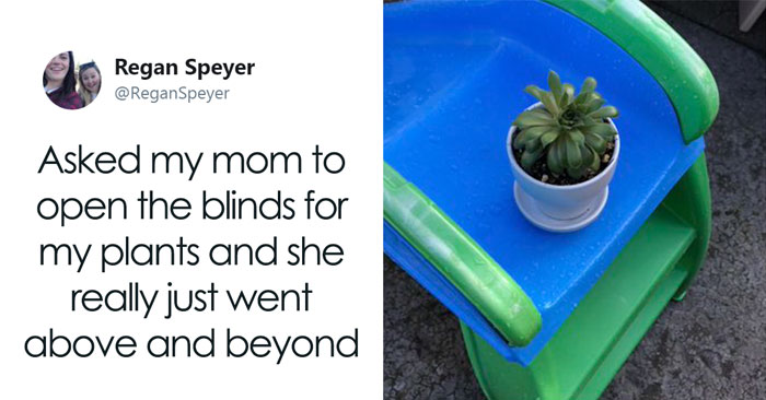 Daughter Asks Her Mom To Take Care Of Her Plants, Mom Uses It As An Opportunity To Hint About Wanting Grandkids