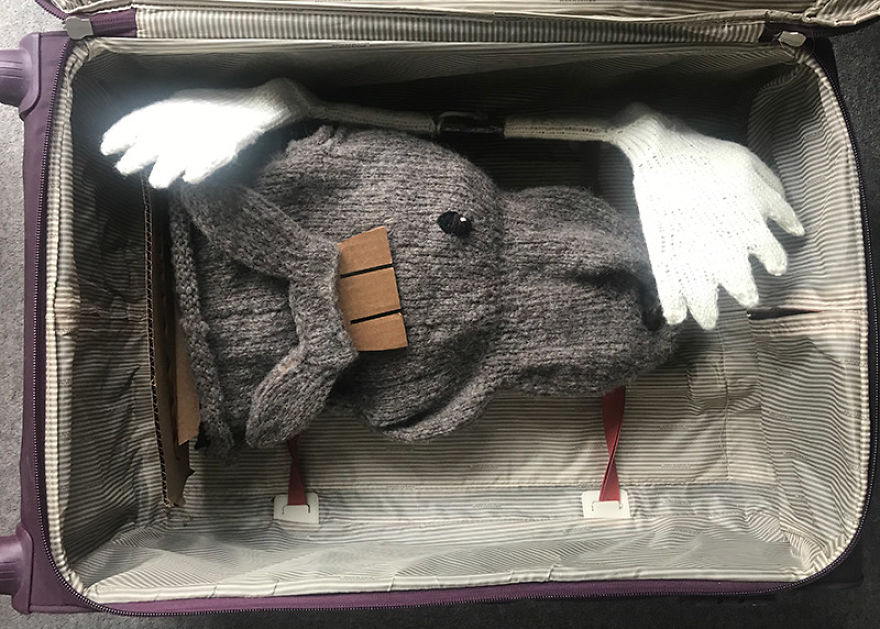 I Knit This Moose Head For A Wedding Present I Knit This Moose Head For A Wedding Present