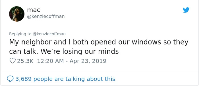 These Two Cats Fell In Love After Seeing Each Other Through Windows, Their Owners Make Sure They Get A Date These Two Cats Fell In Love After Seeing Each Other Through Windows, Their Owners Make Sure They Get A Date