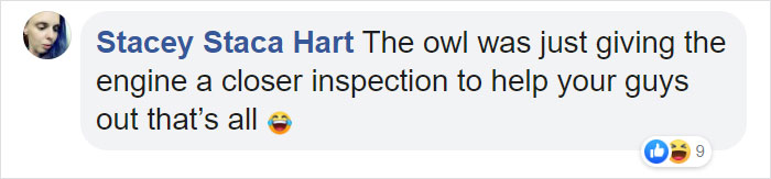 During Pre-Flight Check, Engineers Discover An Owl Taking A Nap In The Plane's Engine During Pre-Flight Check, Engineers Discover An Owl Taking A Nap In The Plane's Engine