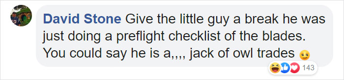 During Pre-Flight Check, Engineers Discover An Owl Taking A Nap In The Plane's Engine