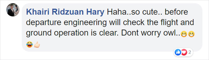 During Pre-Flight Check, Engineers Discover An Owl Taking A Nap In The Plane's Engine