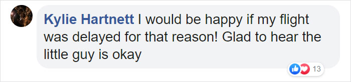 During Pre-Flight Check, Engineers Discover An Owl Taking A Nap In The Plane's Engine During Pre-Flight Check, Engineers Discover An Owl Taking A Nap In The Plane's Engine