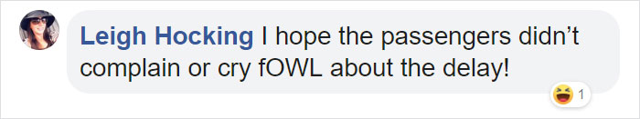 During Pre-Flight Check, Engineers Discover An Owl Taking A Nap In The Plane's Engine During Pre-Flight Check, Engineers Discover An Owl Taking A Nap In The Plane's Engine