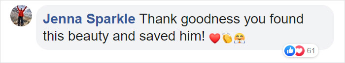 During Pre-Flight Check, Engineers Discover An Owl Taking A Nap In The Plane's Engine