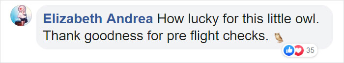 During Pre-Flight Check, Engineers Discover An Owl Taking A Nap In The Plane's Engine During Pre-Flight Check, Engineers Discover An Owl Taking A Nap In The Plane's Engine