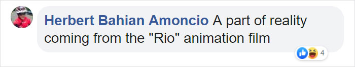 Parrot Goes To 'Jail' After Warning Its Owners About A Police Drug Raid Parrot Goes To 'Jail' After Warning Its Owners About A Police Drug Raid